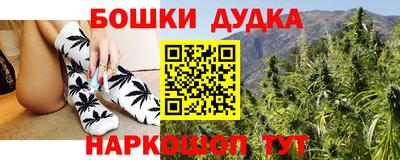 сатива Нальчик