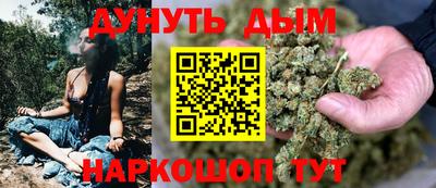 индика Моздок