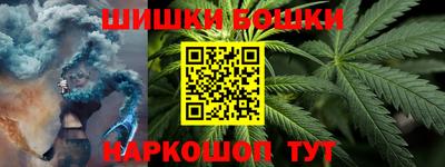 индика Моздок
