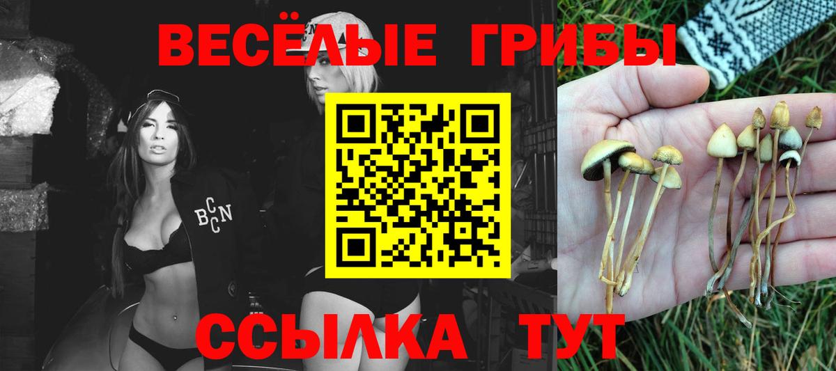 Галлюциногенные грибы Psilocybe  Вход с VPN  хочу   Галлюциногенные грибы мицелий  Стрежевой 